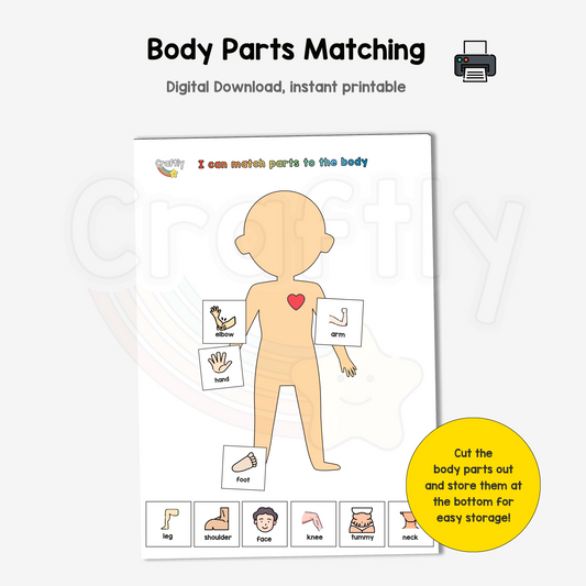 Body Parts Matching Activity (S)
