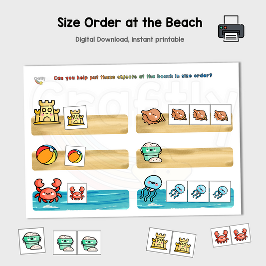 Size Sorting Beach Activity
