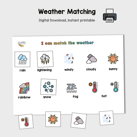 Weather Matching Activity (S)