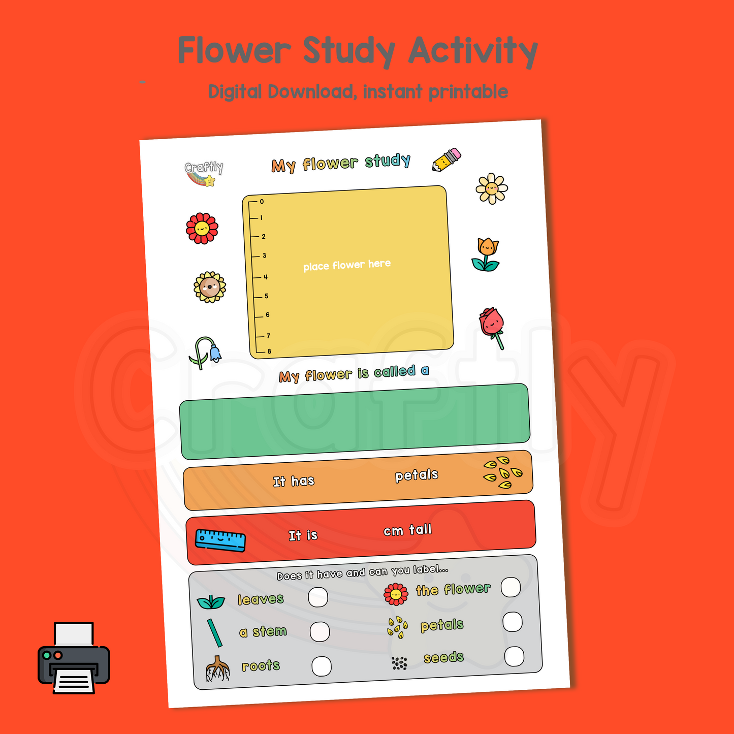 Flower Study Science Activity